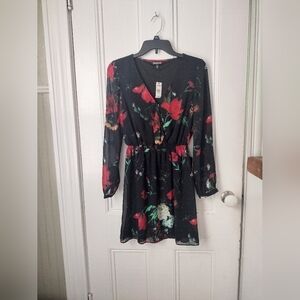Express Black and Red Sheer Floral Dress